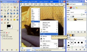 Gimp Free Photoshop Alternative